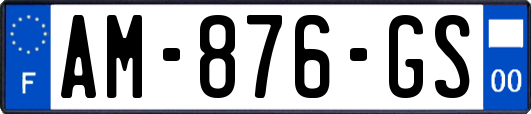 AM-876-GS