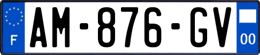 AM-876-GV