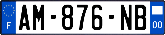 AM-876-NB