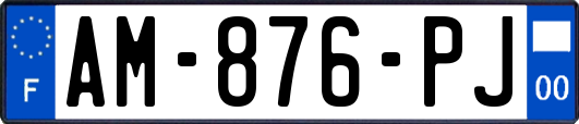 AM-876-PJ