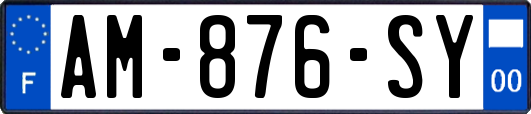 AM-876-SY