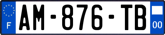 AM-876-TB