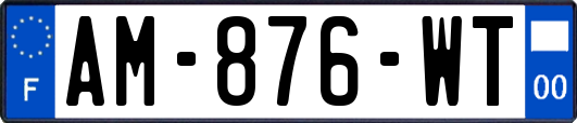 AM-876-WT