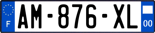 AM-876-XL