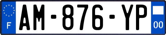 AM-876-YP