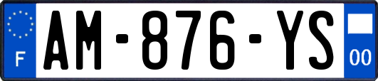 AM-876-YS