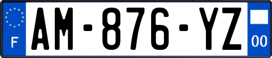 AM-876-YZ