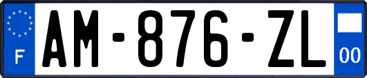 AM-876-ZL