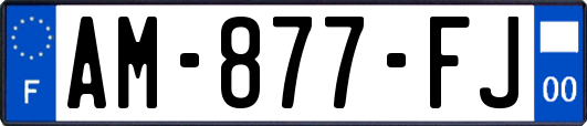 AM-877-FJ