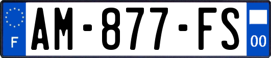 AM-877-FS
