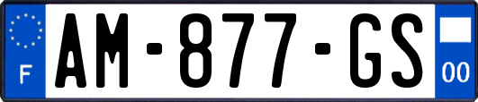 AM-877-GS