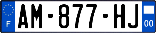 AM-877-HJ