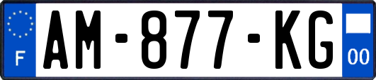AM-877-KG