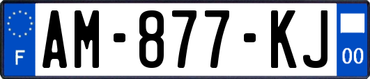 AM-877-KJ
