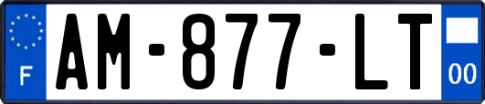 AM-877-LT