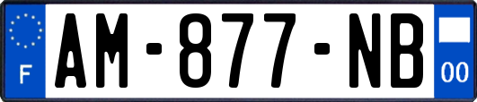 AM-877-NB