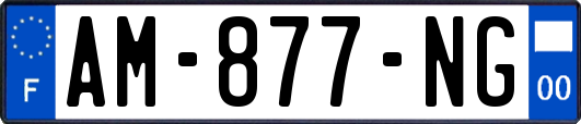 AM-877-NG