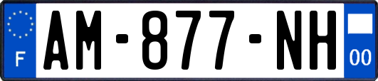 AM-877-NH