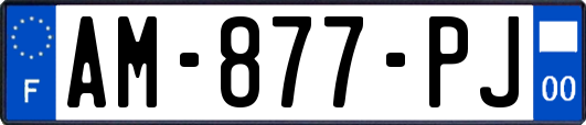AM-877-PJ