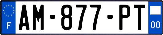 AM-877-PT