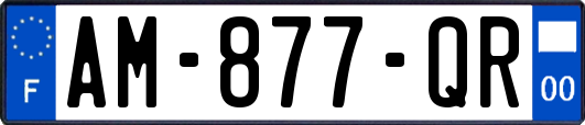 AM-877-QR