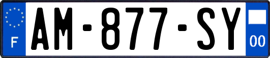 AM-877-SY