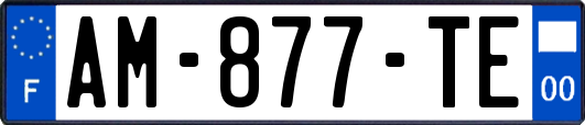 AM-877-TE