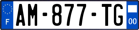 AM-877-TG