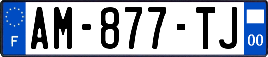 AM-877-TJ