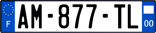 AM-877-TL