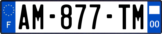 AM-877-TM