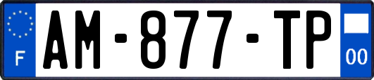 AM-877-TP