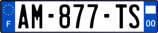 AM-877-TS