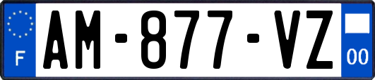 AM-877-VZ