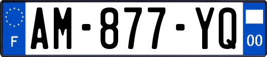 AM-877-YQ