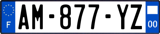 AM-877-YZ