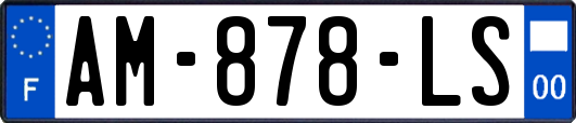 AM-878-LS