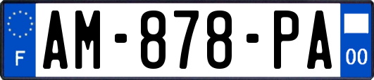AM-878-PA