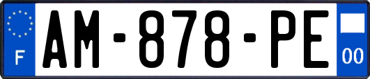 AM-878-PE