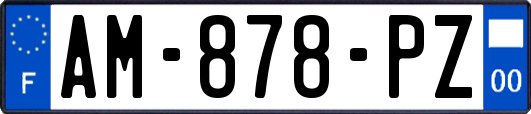 AM-878-PZ
