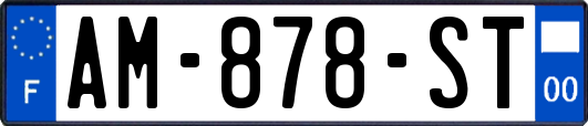 AM-878-ST