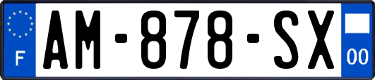 AM-878-SX