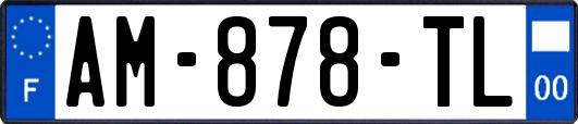 AM-878-TL
