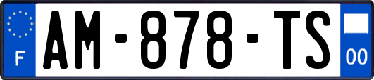 AM-878-TS