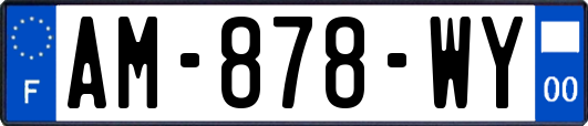AM-878-WY