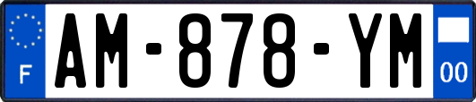 AM-878-YM