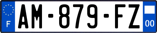AM-879-FZ