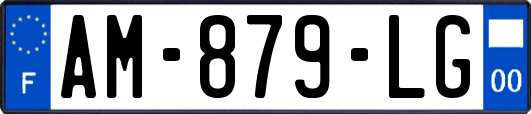 AM-879-LG