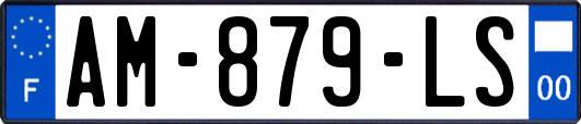 AM-879-LS