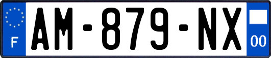 AM-879-NX